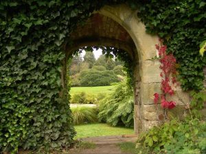 Gartenposter beispiel-09