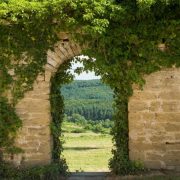 Gartenposter Beispiel 15