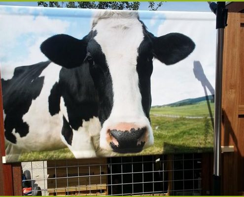 Gartenbanner Beispiel 995 Gartenposter ohne Rahmen Standardformate vb4