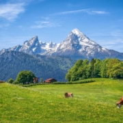 GartenBannet Top 5 bestseller Berge